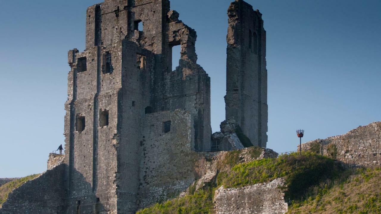 Ammonite Bed & Breakfast Corfe Castle Bagian luar foto