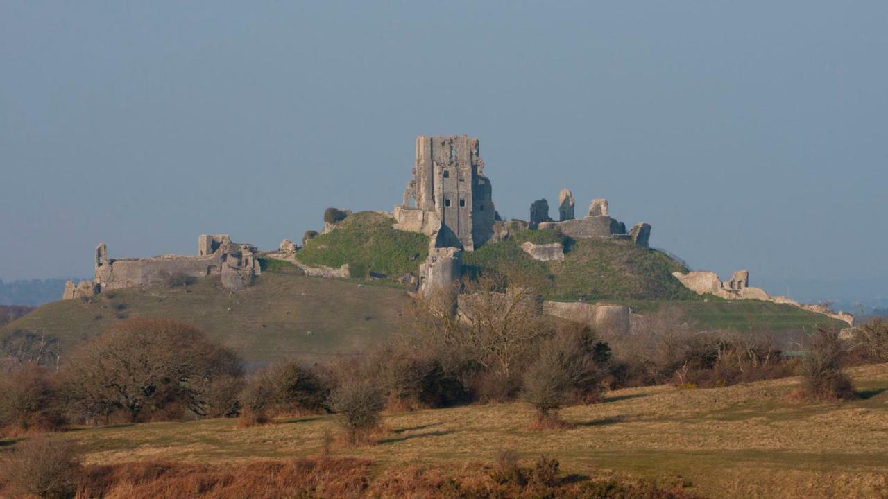 Ammonite Bed & Breakfast Corfe Castle Bagian luar foto